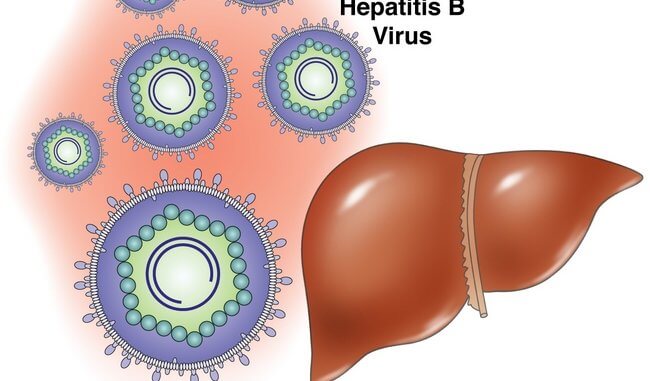 Лікування і профілактика вірусного гепатиту В (Б)