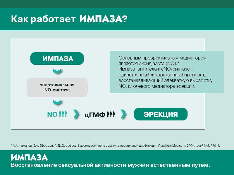 Імпаза: гомеопатичний препарат для лікування еректильної дисфункції