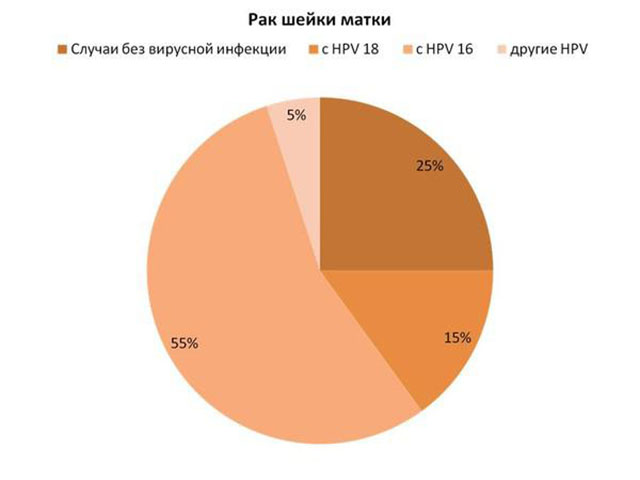 Папіломавірус: як передається і проявляється