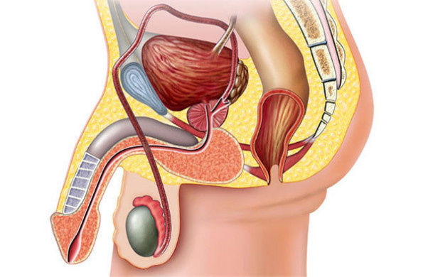 Печіння в сечівнику у чоловіків: причини і симптоми