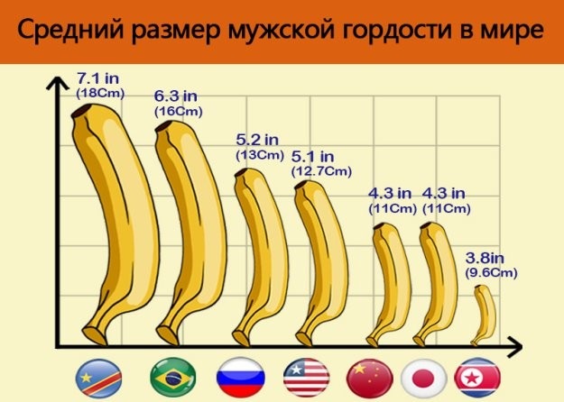 Якої довжини має бути член і який найоптимальніший