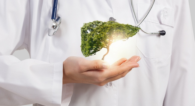 Аллохол для чищення печінки