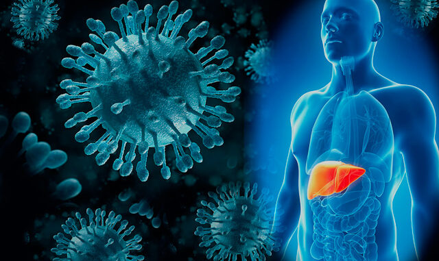 Аналіз на генотипування вірусу гепатиту С