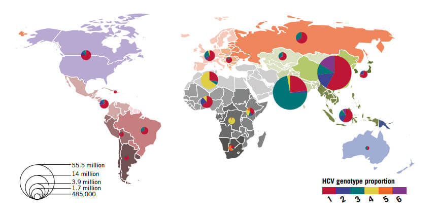Аналіз на генотипування вірусу гепатиту С