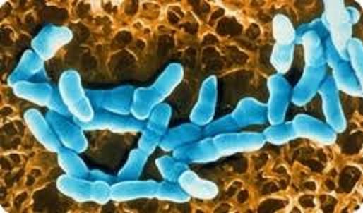 Чому від члена неприємний запах і що робити