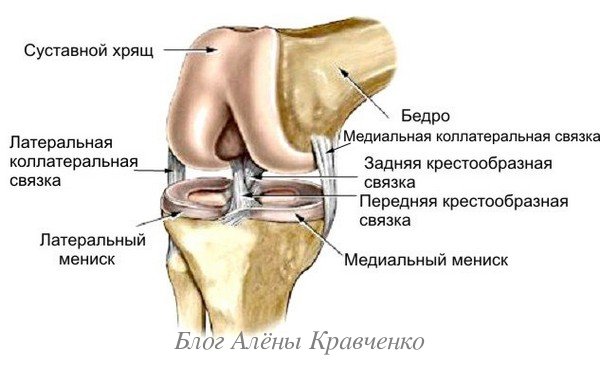 Хрускіт в колінному суглобі при згинанні, при розгинанні. Причини і лікування