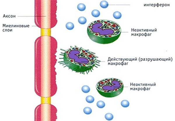 Папіломи на шиї — чи можна лікувати в домашніх умовах і які є способи видалення?