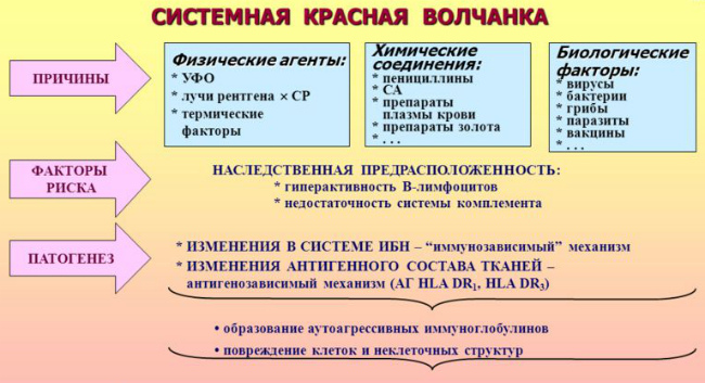 Причини, симптоми і лікування системного червоного вовчака