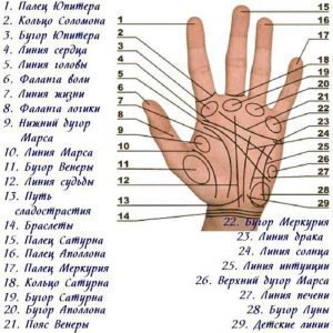 Родимка на долонях і пальцях — тимчасові і постійні