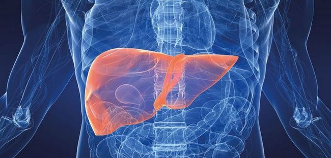 Симптоми та лікування «Аденоми печінки»