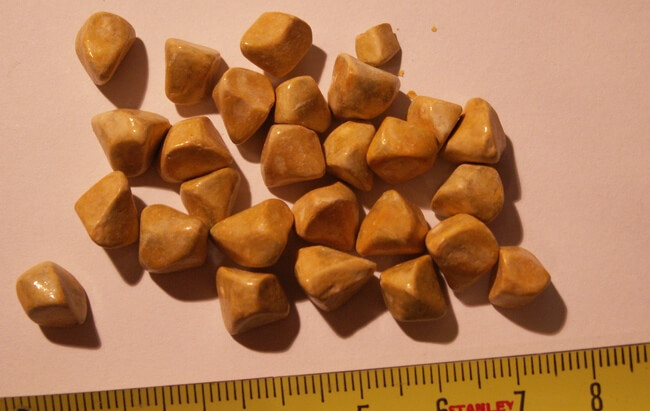 Способи лікування та профілактики нападів жовчнокам’яної хвороби