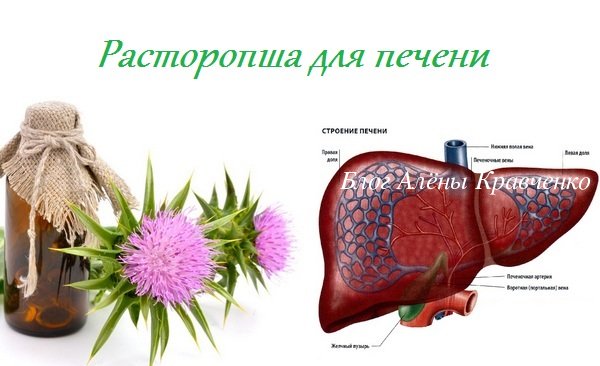 Таблетки для печінки. Список – ТОП 20, гепатопротектори, ліки відновлюють печінку