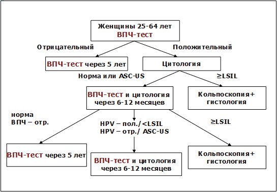 Як зробити скринінг вірусу папіломи людини, особливості аналізу